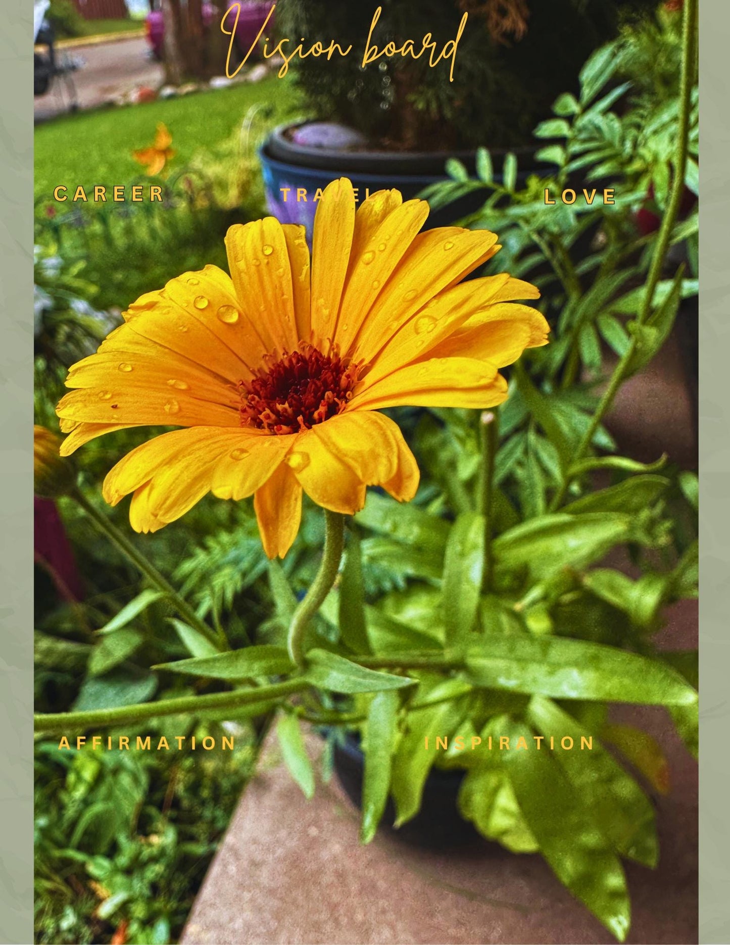 Wildflower Vision Board Kit | 400+ Collage Images (Printable PDF)