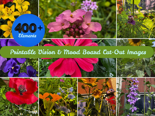 Wildflower Vision Board Kit | 400+ Collage Images (Printable PDF)